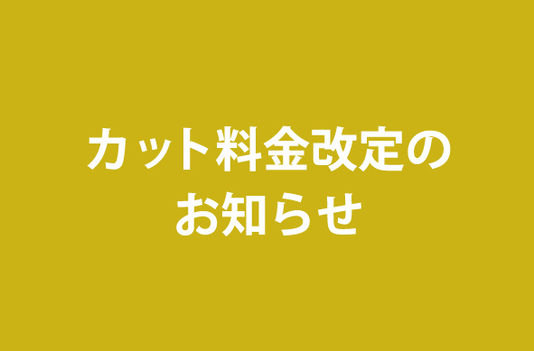 画像に alt 属性が指定されていません。ファイル名: kaitei.jpg